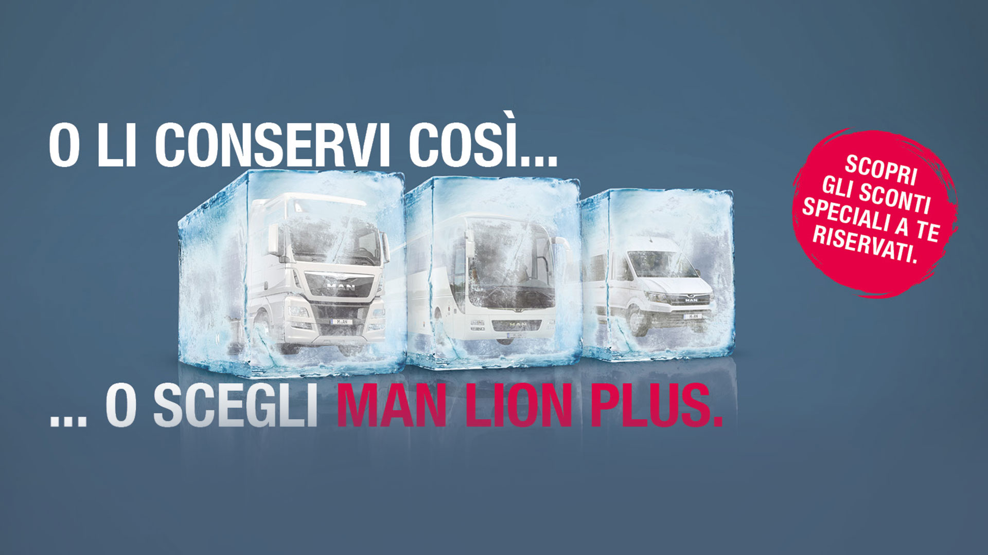 Man Lion Plus Perugia